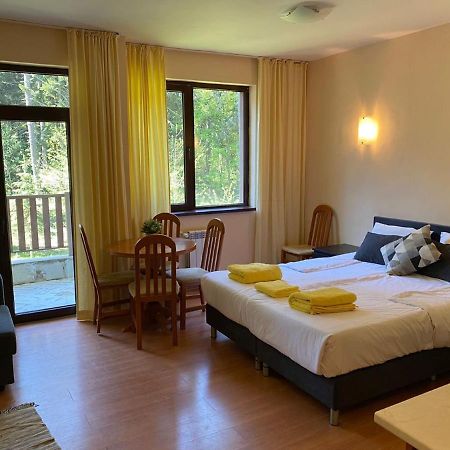Flora Ski-Slope Studio Apartment Borowec Zewnętrze zdjęcie