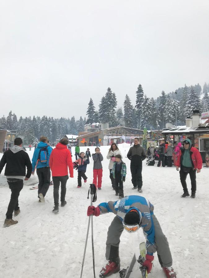 Flora Ski-Slope Studio Apartment Borowec Zewnętrze zdjęcie
