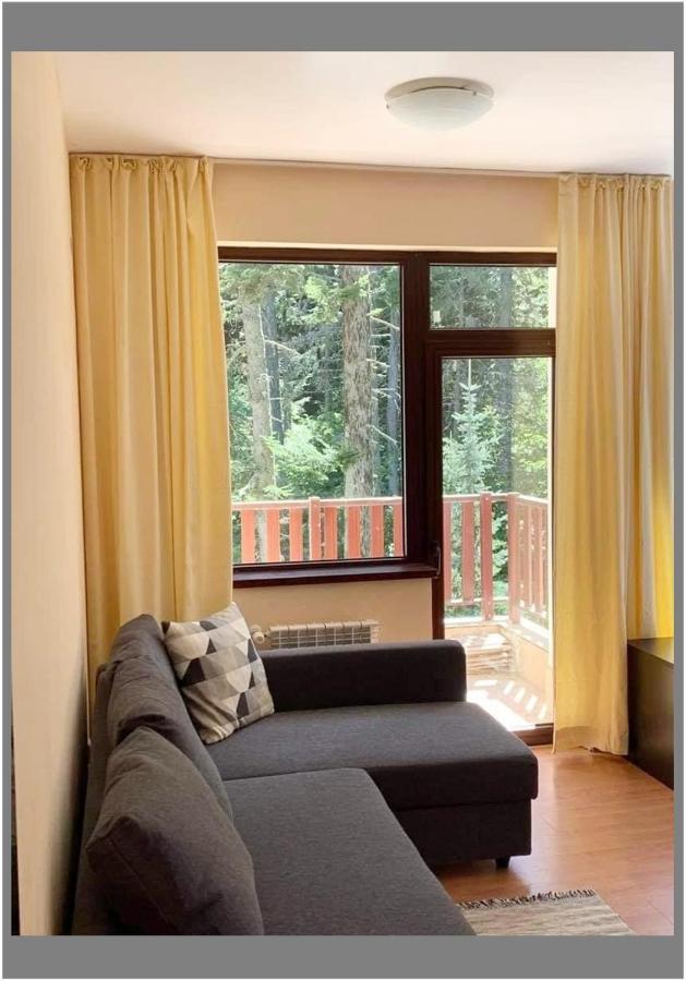 Flora Ski-Slope Studio Apartment Borowec Zewnętrze zdjęcie