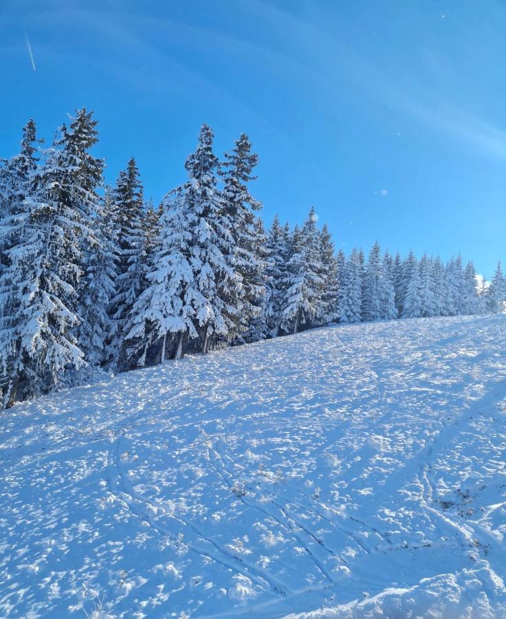 Flora Ski-Slope Studio Apartment Borowec Zewnętrze zdjęcie