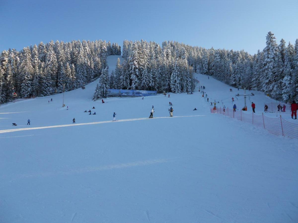 Flora Ski-Slope Studio Apartment Borowec Zewnętrze zdjęcie