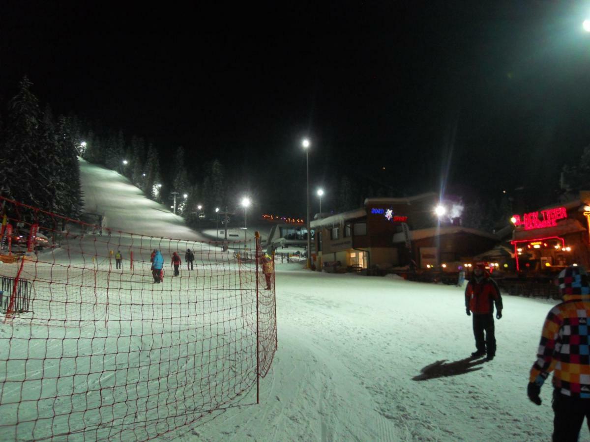 Flora Ski-Slope Studio Apartment Borowec Zewnętrze zdjęcie