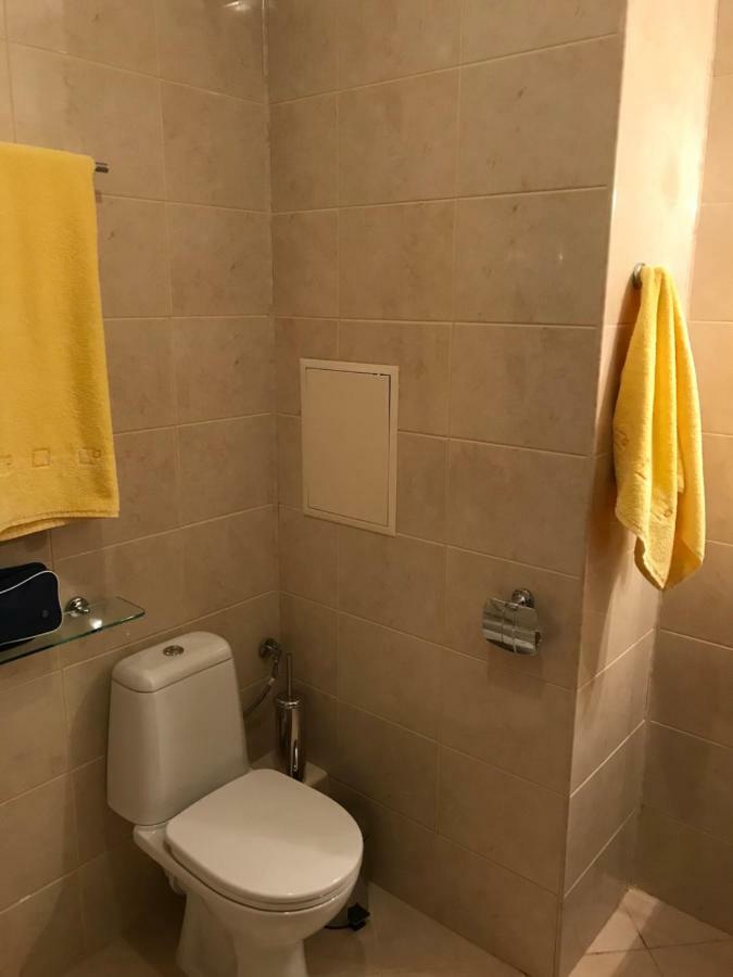 Flora Ski-Slope Studio Apartment Borowec Zewnętrze zdjęcie