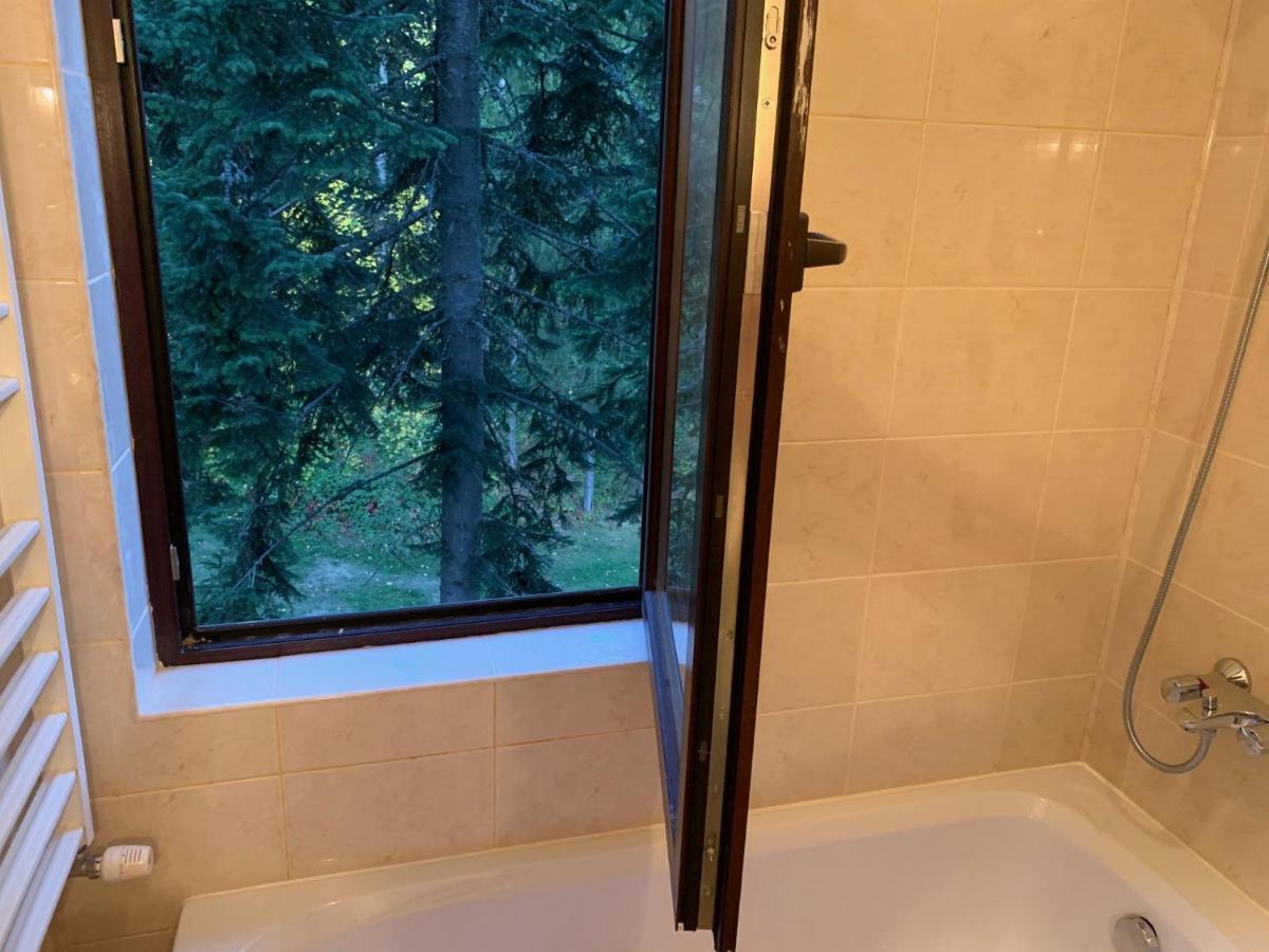 Flora Ski-Slope Studio Apartment Borowec Zewnętrze zdjęcie